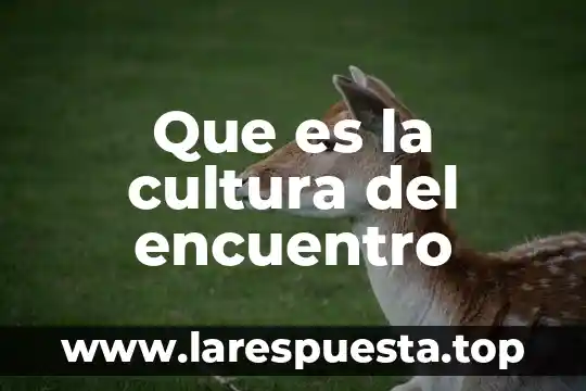 Que es la cultura del encuentro