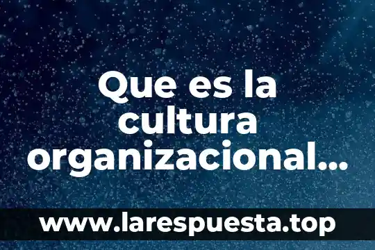 Que es la ofimatica y cuales son sus herraminetas 3 Que es la cultura organizacional y cuales son sus elemntos