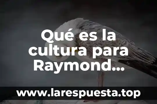 Qué es la semiótica de la cultura 6 Qué es la cultura para Raymond Williams