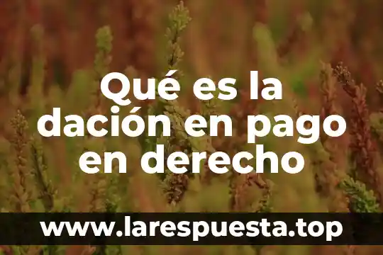 Qué es el derecho edu 3 Qué es la dación en pago en derecho