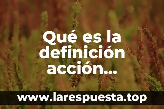 Qué es la definición acción colectiva