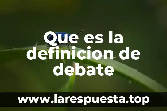 Qué es un nivel definición 4 Que es la definicion de debate