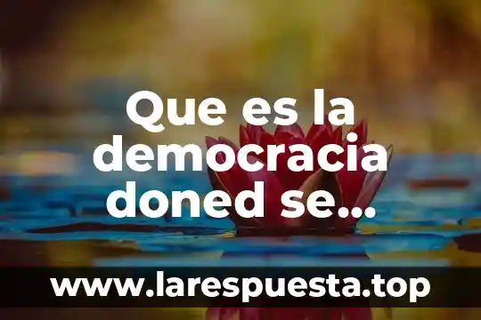 La cultura que es la democracia 5 Que es la democracia doned se aplica