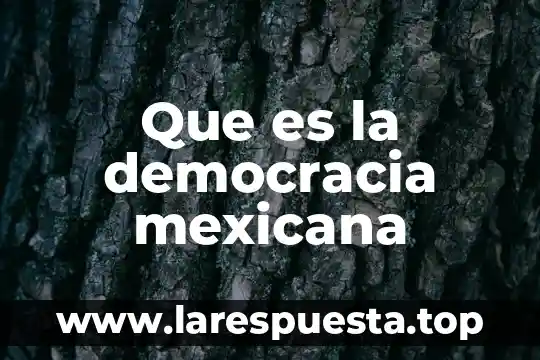 La cultura que es la democracia 4 Que es la democracia mexicana