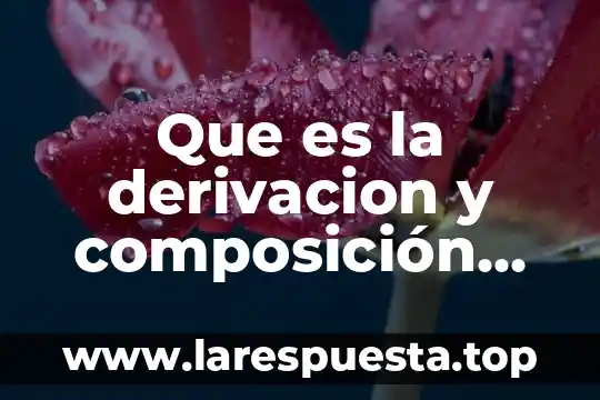 Que es la generalizacion de palabras 8 Que es la derivacion y composición de las palabras