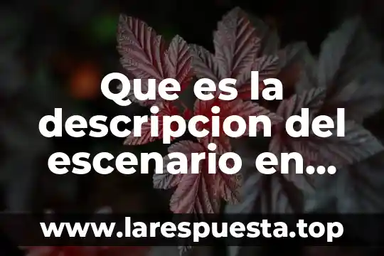 Que es un escenario de investigacion 6 Que es la descripcion del escenario en textos dramaticcos