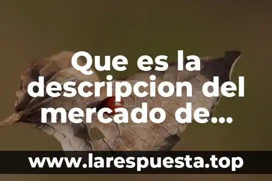 Yacon que es y para que sirve 5 Que es la descripcion del mercado de una empresa