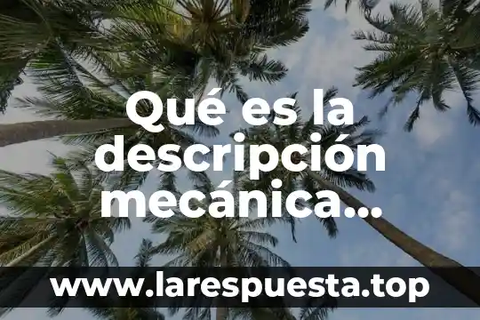 Qué es el control mecánica 3 Qué es la descripción mecánica español