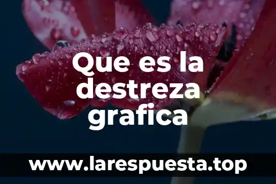 Que es una grafica principal idea 8 Que es la destreza grafica