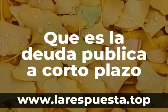 Que es costo de nomina a corto plazo 4 Que es la deuda publica a corto plazo