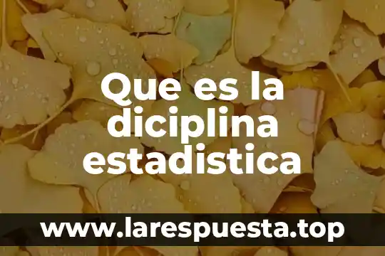 Limites de confianza estadística que es 5 Que es la diciplina estadistica