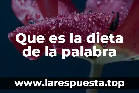 Que es la dieta de la palabra