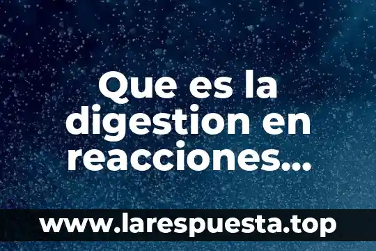 Gluconeogenesis para que es tipos de reacciones 5 Que es la digestion en reacciones quimicas