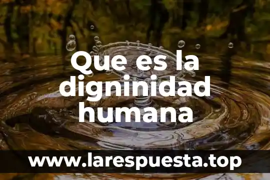 Epidermis humana que es 4 Que es la digninidad humana