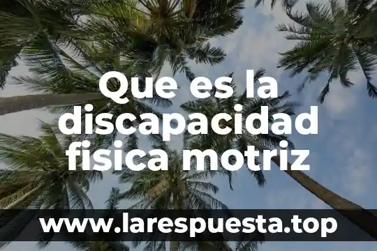 Que es la discapacidad fisica motriz