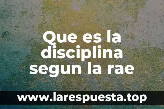 Que es un organismo rae 8 Que es la disciplina segun la rae