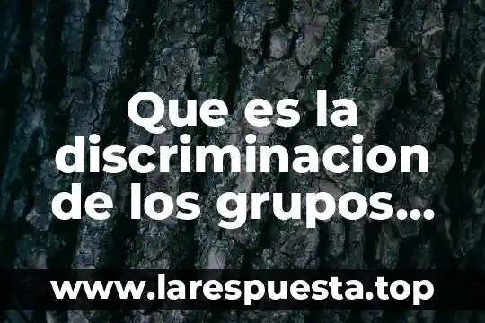 Que es derecho a la no discriminacion 4 Que es la discriminacion de los grupos indigenas