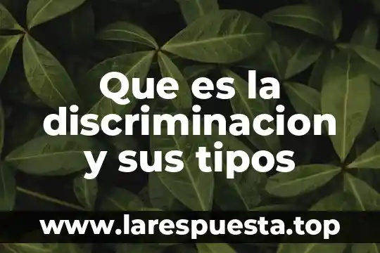 Que es derecho a la no discriminacion 3 Que es la discriminacion y sus tipos
