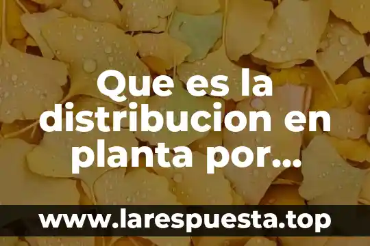 Que es la distribucion en planta por produccion