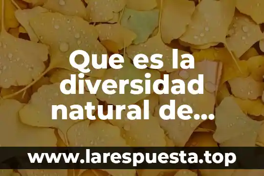 Que es la diversidad etnica y cultural 8 Que es la diversidad natural de hitoria