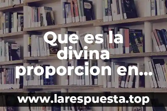 Que es un poligono matematicas 6 Que es la divina proporcion en matematicas