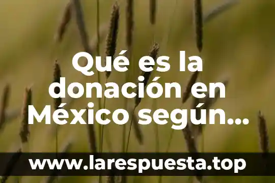 Que es instrumentos de control y consulta archivística 3 Qué es la donación en México según el Código Civil