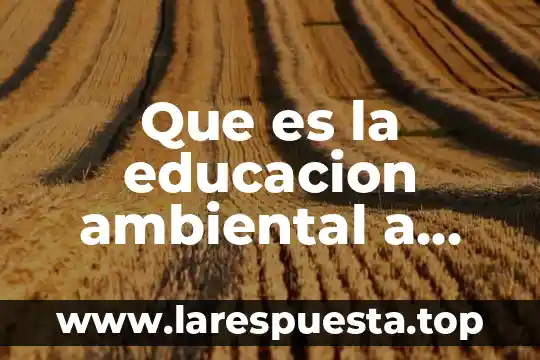 Que es nivel de dominio y diferencia nivel de pensamiento 3 Que es la educacion ambiental a nivel mundial