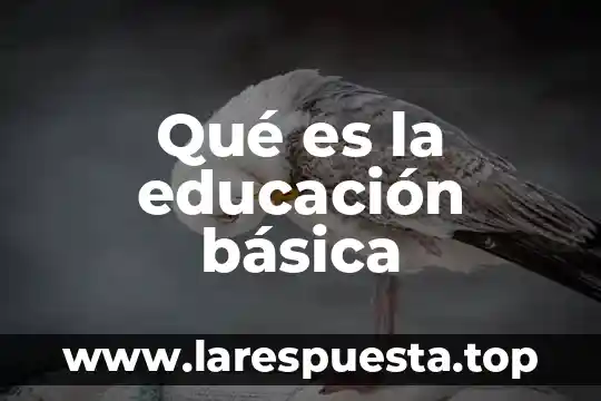 Qué es la educación básica
