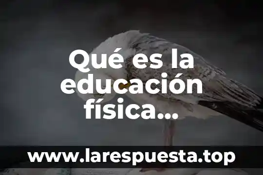 ¿Qué es empuje de un líquido en física? 7 Qué es la educación física específica