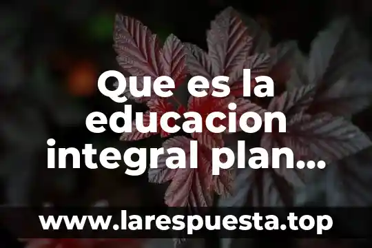 Que es aprendizaje esperado plan de estudios 2011 8 Que es la educacion integral plan de estudios 2011
