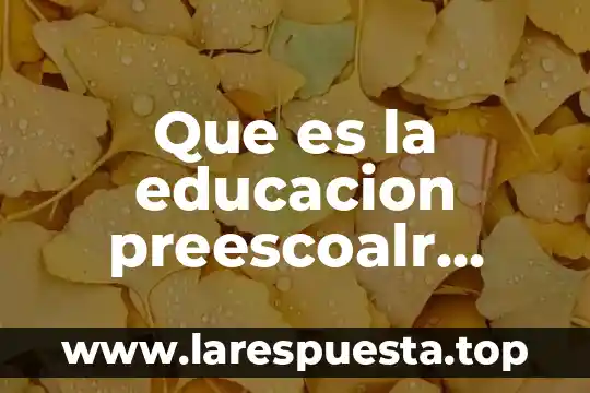 Que es la educacion preescoalr segun el pepe