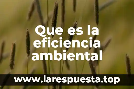 Que es la eficiencia ambiental