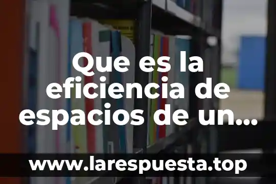 Que es la eficiencia de espacios de un software