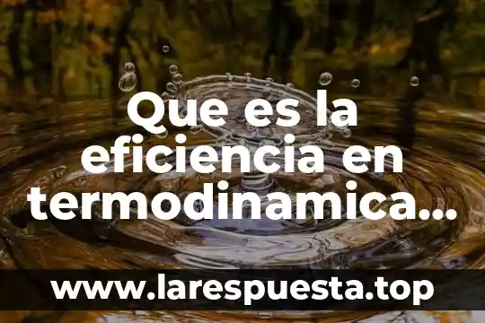 Que es la eficiencia en termodinamica y ejemplos