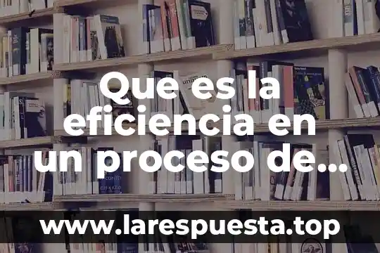 Que es el proceso de motivacion 3 Que es la eficiencia en un proceso de archivacion