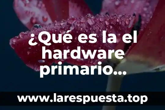 ¿Qué es la el hardware primario concepto?