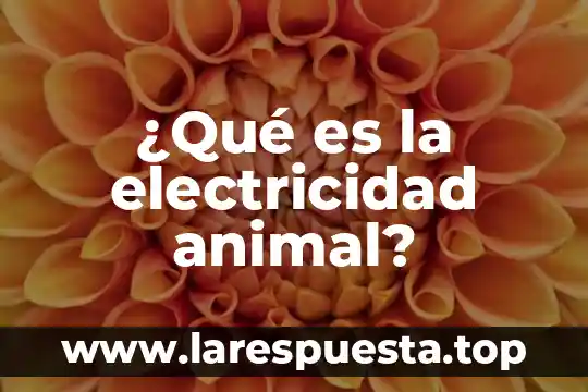 ¿Qué es la electricidad animal?
