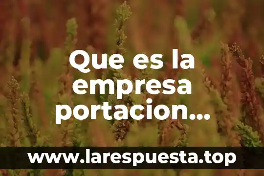 Que es la compara de media 7 Que es la empresa portacion cambio de compañia