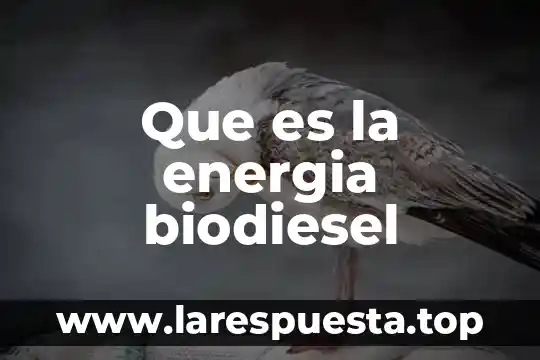 Que es energia quismica 3 Que es la energia biodiesel