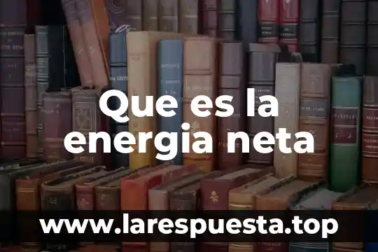Que es la energia neta