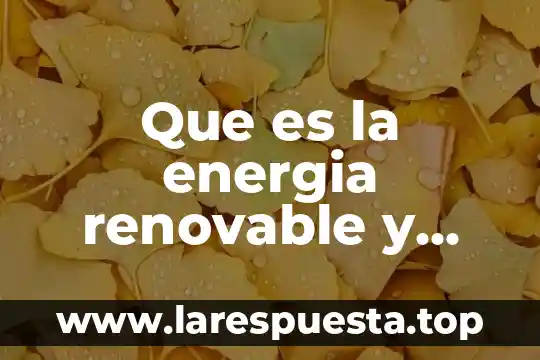 Qué es comida o renovable 8 Que es la energia renovable y sustentable