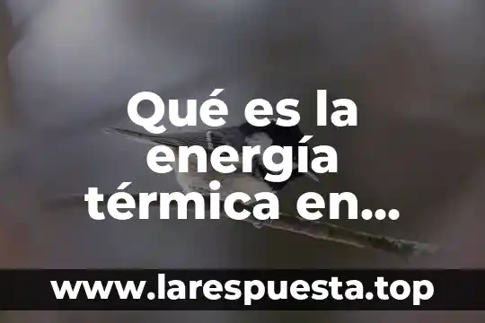 ¿Qué es empuje de un líquido en física? 4 Qué es la energía térmica en física