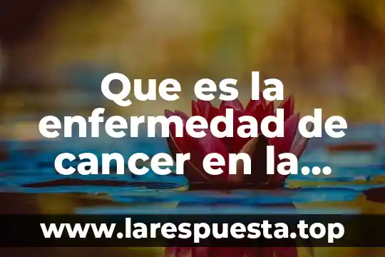 Que es la enfermedad de cancer en la gastronomia