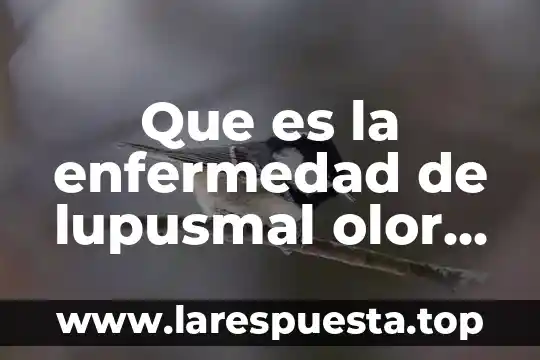 Que es cuando la orina sale concentrada 5 Que es la enfermedad de lupusmal olor de orina