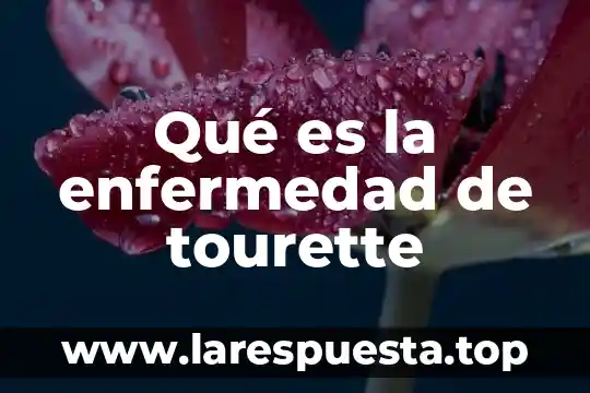 Qué es la enfermedad de tourette