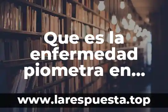 Que es la enfermedad piometra en los perros