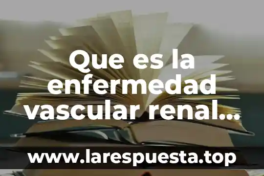 Que es la enfermedad vascular renal definicion