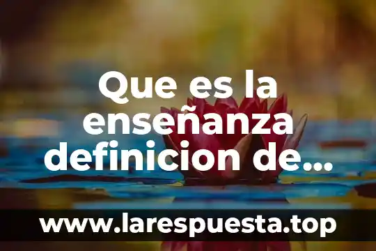 Que es la enseñanza definicion de un libro