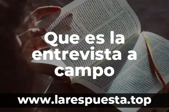 Que es un analisis de entrevista 8 Que es la entrevista a campo