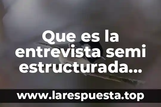 Qué es canónico en derecho 7 Que es la entrevista semi estructurada segun ander egg